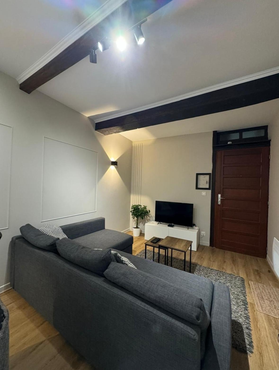 Appartement Charmant Hypercentre Avec Patio Prive Et Parking Орлеан Экстерьер фото